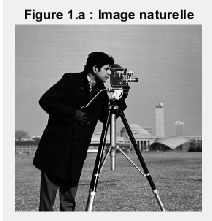 Image naturelle